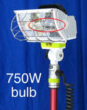 Spare 750W bulbs avaialble for all Lentry Lighting Systems that utilize either a 650W or 750W halogen bulb. Lentry Optup light head shown.