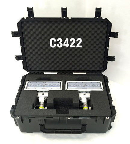 Lentry V-Spec LED Case 3422 shown open with two single V-Spec LEDs inside